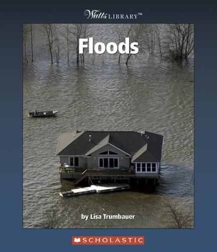 Book cover for Floods