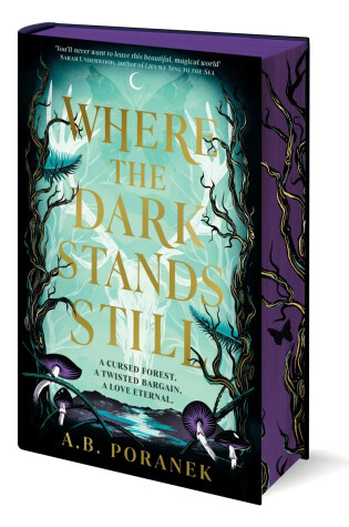 Cover of Where the Dark Stands Still