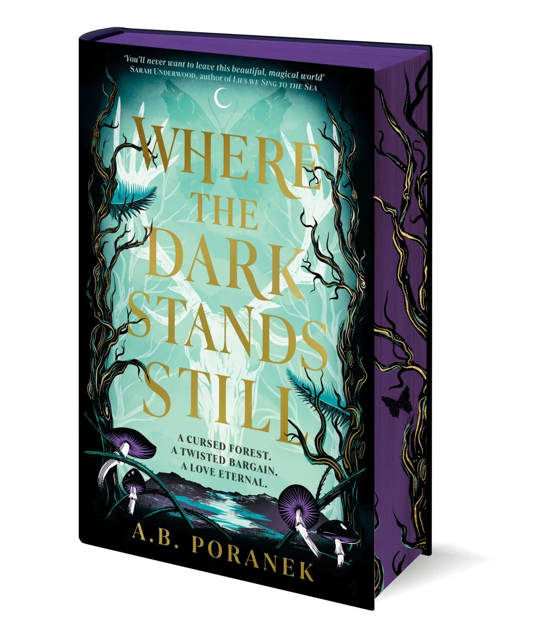 Cover of Where the Dark Stands Still