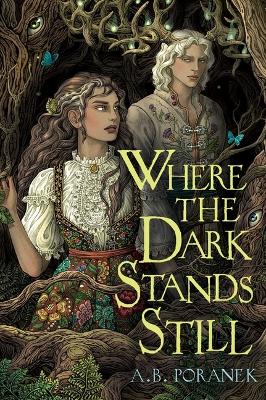 Book cover for Where the Dark Stands Still