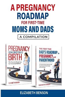 Book cover for A Pregnancy Roadmap for First-Time Moms and Dads