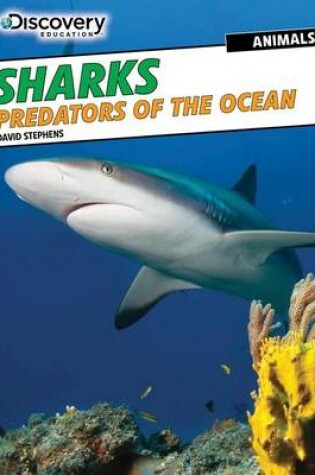 Cover of Sharks: Predators of the Ocean