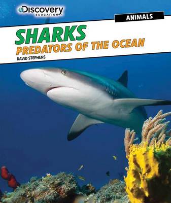 Cover of Sharks: Predators of the Ocean