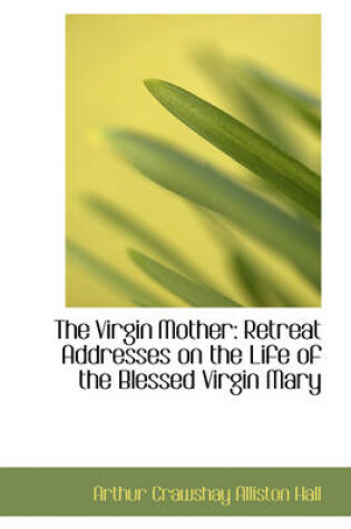 Cover of The Virgin Mother