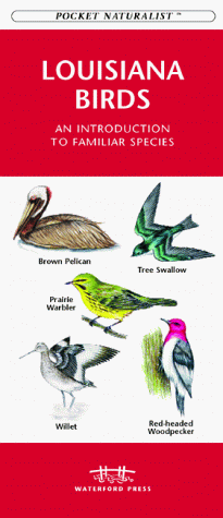 Book cover for Louisiana Birds