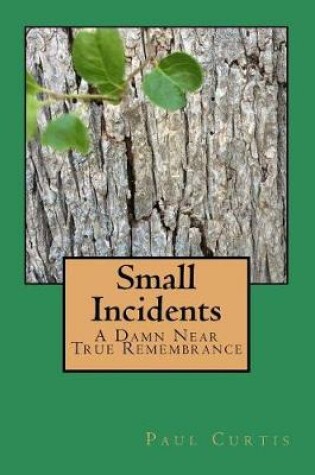 Cover of Small Incidents