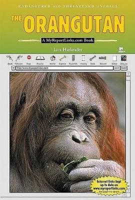 Book cover for The Orangutan