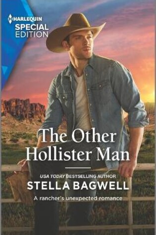 Cover of The Other Hollister Man