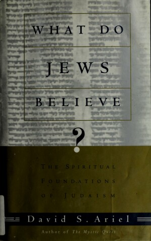 Book cover for What Do Jews Believe?