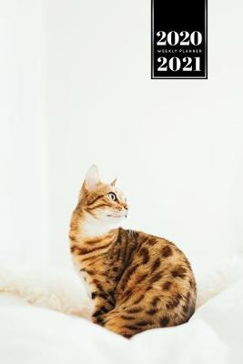 Book cover for Bengal Cat Kitten Kitty Tomcat Week Planner Organizer 2020 / 2021 - Just Sitting