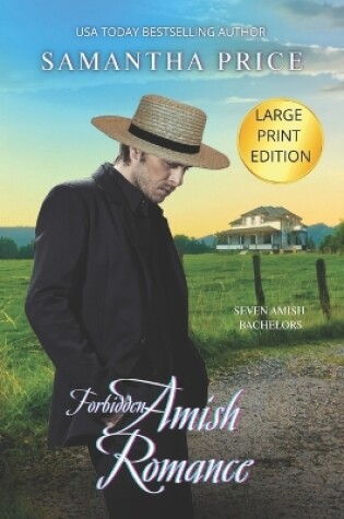 Cover of Forbidden Amish Romance LARGE PRINT