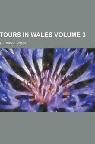 Cover of Tours in Wales Volume 3