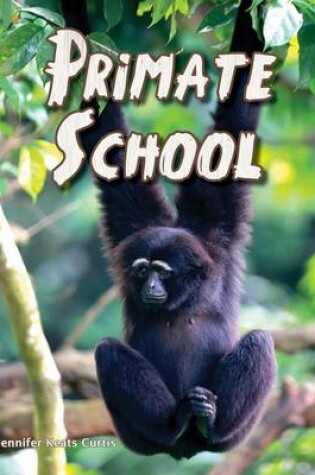 Cover of Primate School