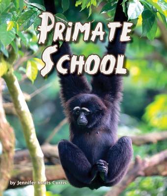 Book cover for Primate School