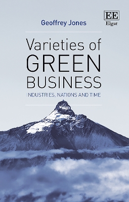 Book cover for Varieties of Green Business