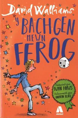 Book cover for Bachgen Mewn Ffrog, Y