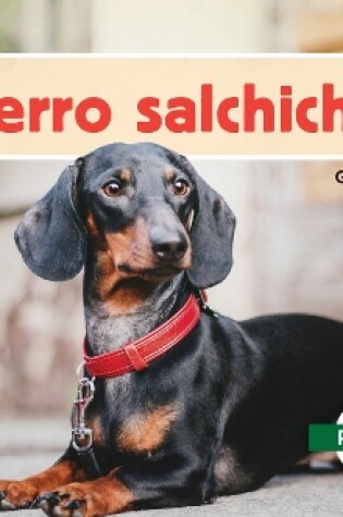 Cover of Perro Salchicha (Dachshunds)