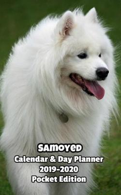 Book cover for Samoyed Calendar & Day Planner 2019-2020 Pocket Edition