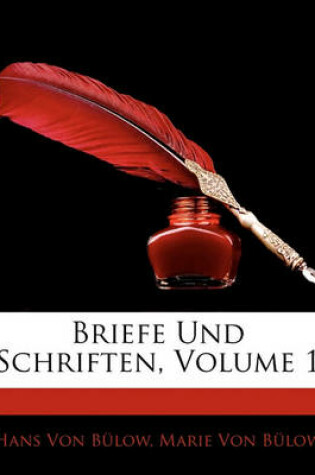 Cover of Briefe Und Schriften, Volume 1