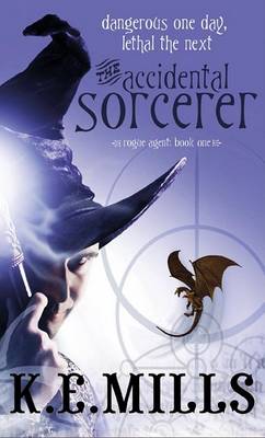 Book cover for The Accidental Sorcerer