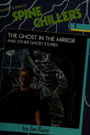 Book cover for Ghost in Mirror GB
