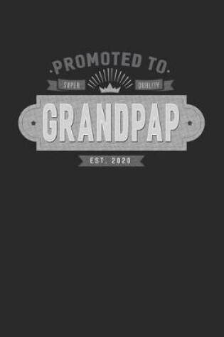 Cover of Promoted To Super Quality Grandpap Est. 2020