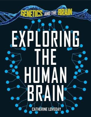 Book cover for Exploring the Human Brain