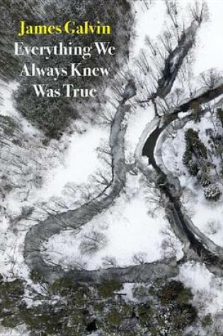 Cover of Everything We Always Knew Was True
