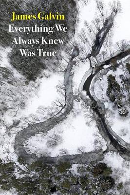 Book cover for Everything We Always Knew Was True