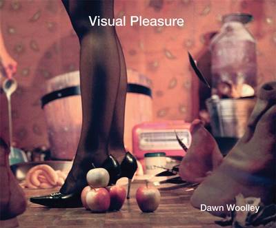 Book cover for Visual Pleasure