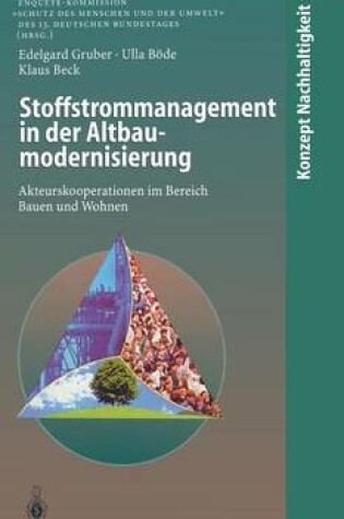 Cover of Stoffstrommanagement in Der Altbaumodernisierung