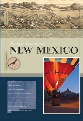 Book cover for New Mexico