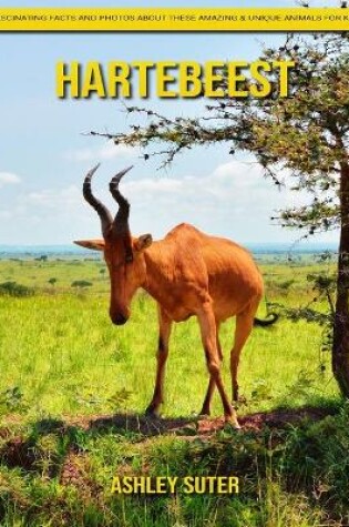 Cover of Hartebeest