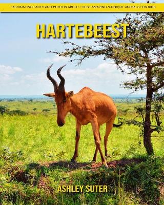 Book cover for Hartebeest