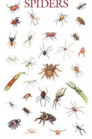 Cover of Spiders Poster