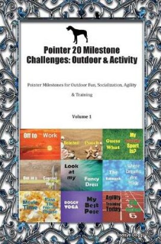 Cover of Pointer 20 Milestone Challenges