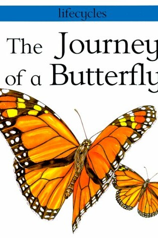 Cover of The Journey of a Butterfly