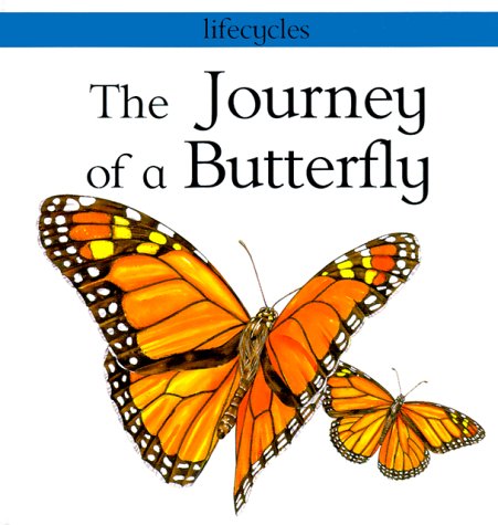 Book cover for The Journey of a Butterfly