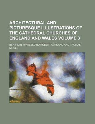 Book cover for Architectural and Picturesque Illustrations of the Cathedral Churches of England and Wales Volume 3