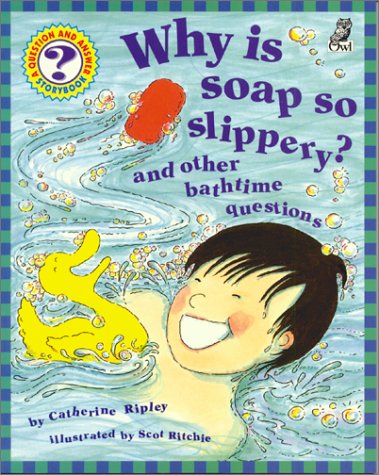 Book cover for Why is Soap So Slippery?