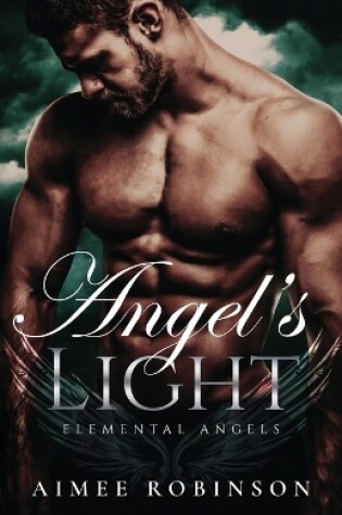 Cover of Angel's Light