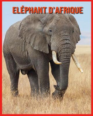 Book cover for Eléphant d'Afrique