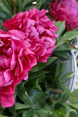 Cover of Journal Flowers Pretty Red Peonies