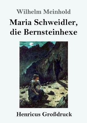 Book cover for Maria Schweidler, die Bernsteinhexe (Großdruck)