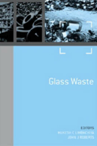 Cover of Challenges and Opportunities Volume 1 - Glass Waste