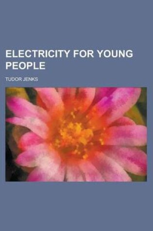 Cover of Electricity for Young People