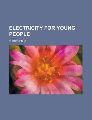 Book cover for Electricity for Young People