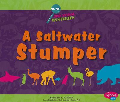 Cover of A Saltwater Stumper