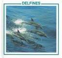 Cover of Delfines