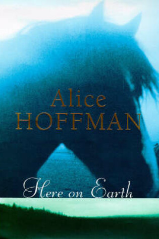 Cover of Here on Earth